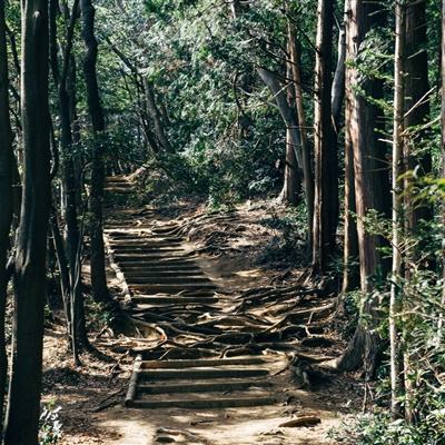 丰田将投资10亿美元,扩建美国肯塔基、印第安纳州工厂产能